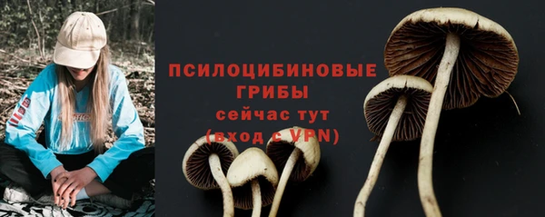 экстази Баксан