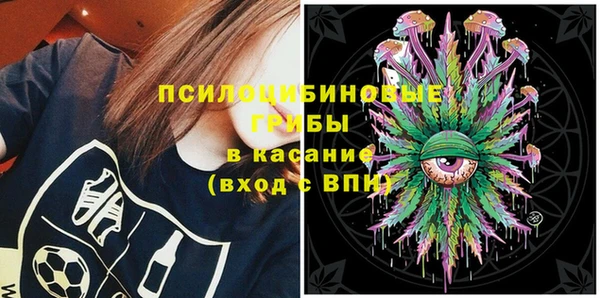 шишки Балахна