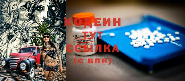 шишки Балахна