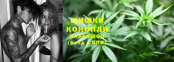 шишки Балахна
