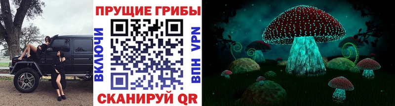 Галлюциногенные грибы MAGIC MUSHROOMS Вичуга